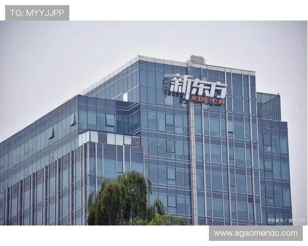 新东方置地：以教育为纽带，推动城市文化与地产产业的深度融合