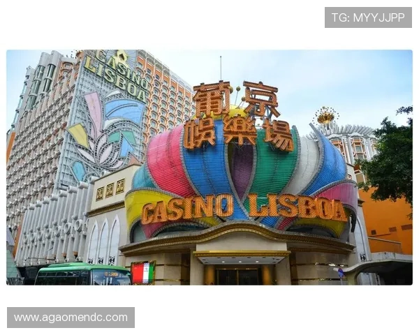 葡京娱乐场评价：客户服务质量与优惠活动的真实反馈