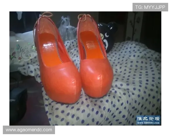 全面解析凯发真人官网入口的最新更新内容与登录方式指南