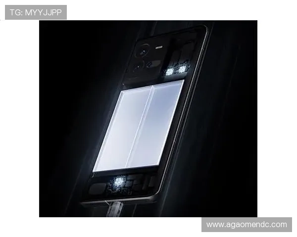 开云真人在哪里能体验到优质的真人玩乐服务和丰富的游戏内容