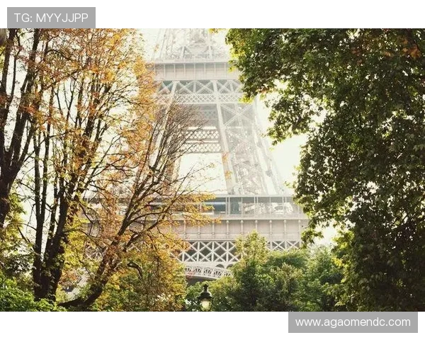 掌握巴黎人客户端最新优惠活动与促销资讯