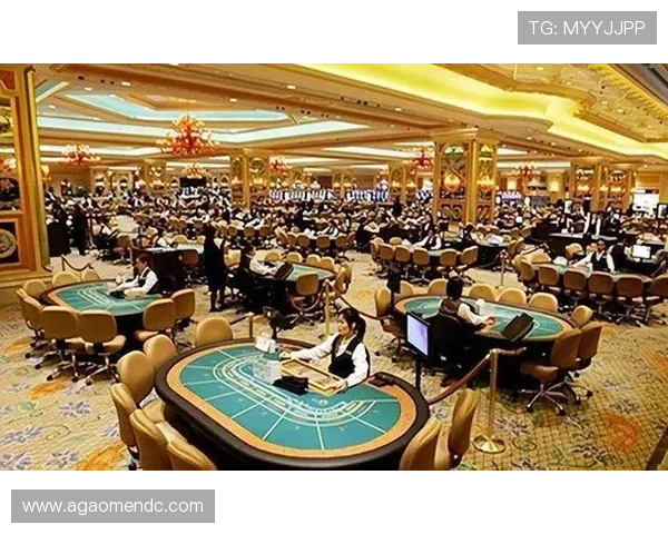 澳门几大赌城名字