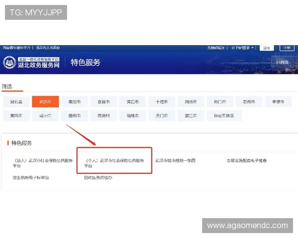澳门金龙娱乐官网入口稳定性分析及登录成功率提升攻略